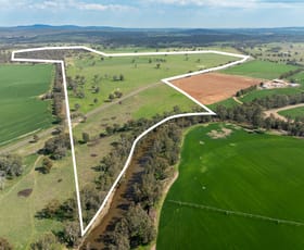 Rural / Farming commercial property for sale at 'Bydawhile' Lachlan Valley Way Cowra NSW 2794