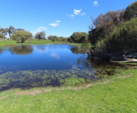 Rural / Farming commercial property for sale at 39 Gibbs Road Uduc WA 6220