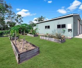 Rural / Farming commercial property for sale at 130 bobongies Road Habana QLD 4740