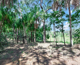Rural / Farming commercial property for sale at 130 bobongies Road Habana QLD 4740