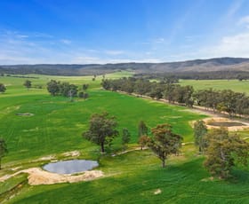 Rural / Farming commercial property for sale at 441 Frenchmans - St Arnaud Road Barkly VIC 3384
