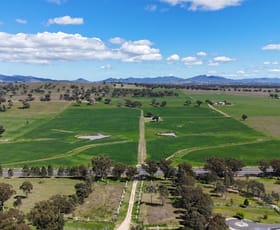 Rural / Farming commercial property for sale at Grandview 13669 New England Highway Timbumburi NSW 2340