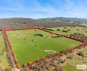 Rural / Farming commercial property for sale at Monument Road Romsey VIC 3434