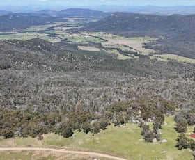 Rural / Farming commercial property for sale at Green Hills New England Gully Road Moonbi NSW 2353