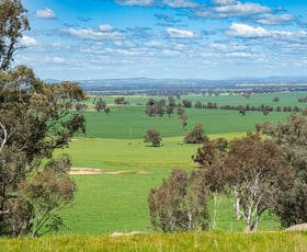 Rural / Farming commercial property for sale at 413 Reynella Road Walbundrie NSW 2642