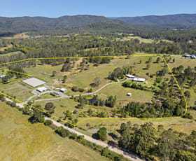 Rural / Farming commercial property for sale at 24 Paddy Melon Lane Belli Park QLD 4562
