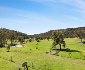 Rural / Farming commercial property for sale at 236 Totnes Valley Road Mudgee NSW 2850