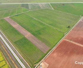 Rural / Farming commercial property for sale at 1390 Whitton Darlington Point Road Whitton NSW 2705