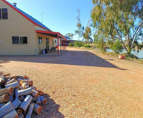 Rural / Farming commercial property for sale at 569 Borehead Rd Lightning Ridge NSW 2834