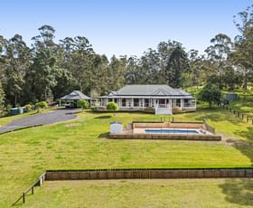 Rural / Farming commercial property for sale at 1522 Mandalong Road Dooralong NSW 2259