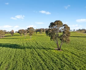 Rural / Farming commercial property for sale at 318 Belgravia Road Orange NSW 2800