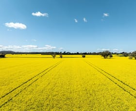 Rural / Farming commercial property for sale at 484 Merri Meric Road Henty NSW 2658