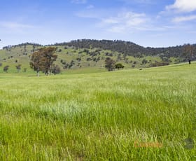 Rural / Farming commercial property for sale at 350 Waters Lane Colac Colac VIC 3707