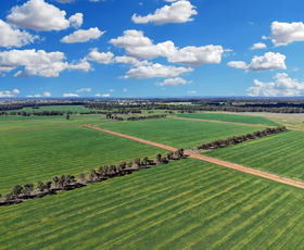 Rural / Farming commercial property for sale at 4005 Lachlan Valley Way Forbes NSW 2871