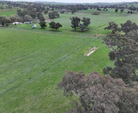 Rural / Farming commercial property for sale at 1471 & 1557 Muttama Road Muttama NSW 2722