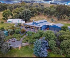 Rural / Farming commercial property for sale at 881 Mulgowrie Road Crooked Corner NSW 2583