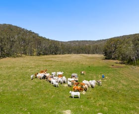 Rural / Farming commercial property for sale at 'Yabragunyah' Pilton Valley Road Upper Pilton QLD 4361
