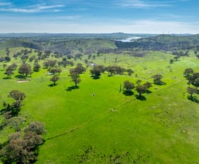Rural / Farming commercial property for sale at 321 Mount Macquarie Road Carcoar NSW 2791
