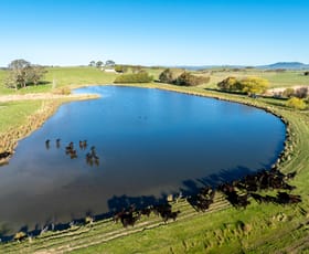 Rural / Farming commercial property for sale at 110 & 136 Beneree Road Tallwood NSW 2798