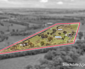 Rural / Farming commercial property for sale at 175 Early Road Tanjil South VIC 3825