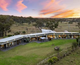Rural / Farming commercial property for sale at 807 Rockvale Road Armidale NSW 2350