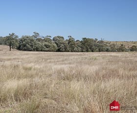 Rural / Farming commercial property for sale at 448 Cattle Creek Road Mundubbera QLD 4626