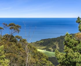 Rural / Farming commercial property for sale at 675 Skenes Creek Road Skenes Creek North VIC 3233