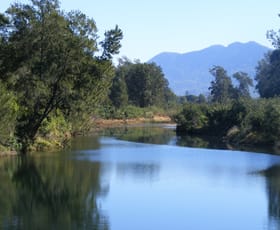 Rural / Farming commercial property sold at 1041 South Arm Rd Bellingen NSW 2454