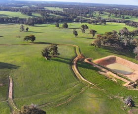 Rural / Farming commercial property for sale at 1705 Gibbs Road Trigwell WA 6244