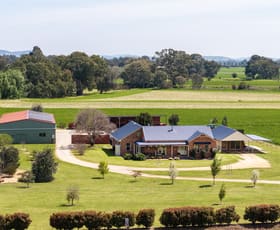 Rural / Farming commercial property for sale at 371 Burrundulla Road Mudgee NSW 2850
