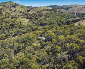 Rural / Farming commercial property for sale at 206 Roberts Road Mudgee NSW 2850