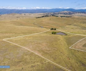 Rural / Farming commercial property for sale at 556 Micalago Road Michelago NSW 2620