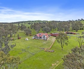 Rural / Farming commercial property for sale at 202 White Flag Road Binalong NSW 2584