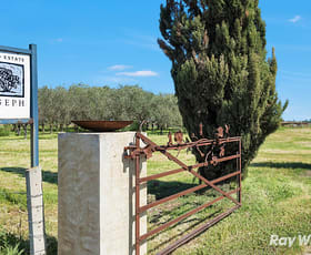 Rural / Farming commercial property for sale at 788 Old Port Wakefield Road Virginia SA 5120