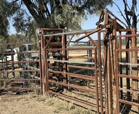 Rural / Farming commercial property for sale at 448 Cattle Creek Road Mundubbera QLD 4626