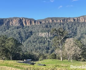 Rural / Farming commercial property for sale at 368A Bunkers Hill Road Barrengarry NSW 2577