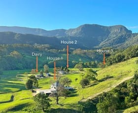 Rural / Farming commercial property for sale at 530-542 & 569 Upper Crystal Creek Road Crystal Creek NSW 2484