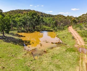 Rural / Farming commercial property for sale at Gulgong NSW 2852 Rural / Farming commercial property for sale at Gulgong NSW 2852