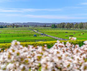 Rural / Farming commercial property for sale at 366 Headlam Road Moss Vale NSW 2577