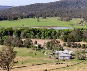 Rural / Farming commercial property for sale at 12501 Pacific Highway Coolongolook NSW 2423
