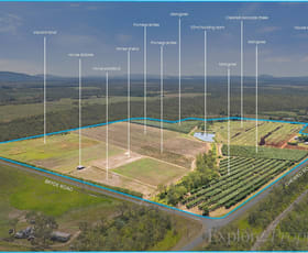 Rural / Farming commercial property for sale at 440 Chewko Road Mareeba QLD 4880