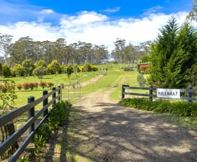 Rural / Farming commercial property for sale at 61 Wallaby Hill Road Robertson NSW 2577