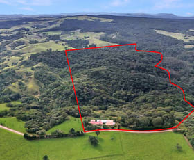 Rural / Farming commercial property for sale at 69 Wairambar Creek Road Topaz QLD 4885