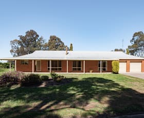 Rural / Farming commercial property for sale at 1098 Foster Road Rochester VIC 3561