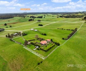 Rural / Farming commercial property for sale at 81 Kays Road Irishtown TAS 7330