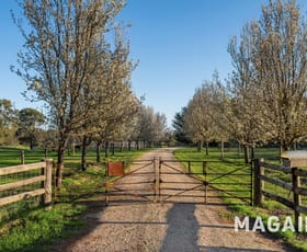 Rural / Farming commercial property for sale at 361 Badgers Road The Range SA 5172