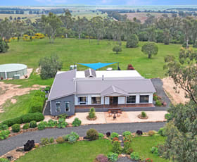 Rural / Farming commercial property for sale at 'Taryndoon' 481 Quia Station Road Emerald Hill NSW 2380