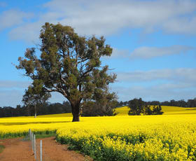 Rural / Farming commercial property for sale at Kilburnie Etna Road Broomehill West WA 6318
