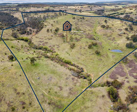 Rural / Farming commercial property for sale at 55 Robbs Lane Chatsbury NSW 2580