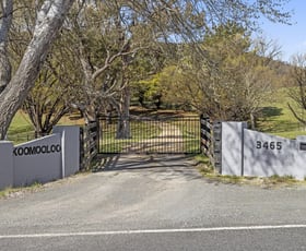 Rural / Farming commercial property for sale at 3465 Captains Flat Road Captains Flat NSW 2623